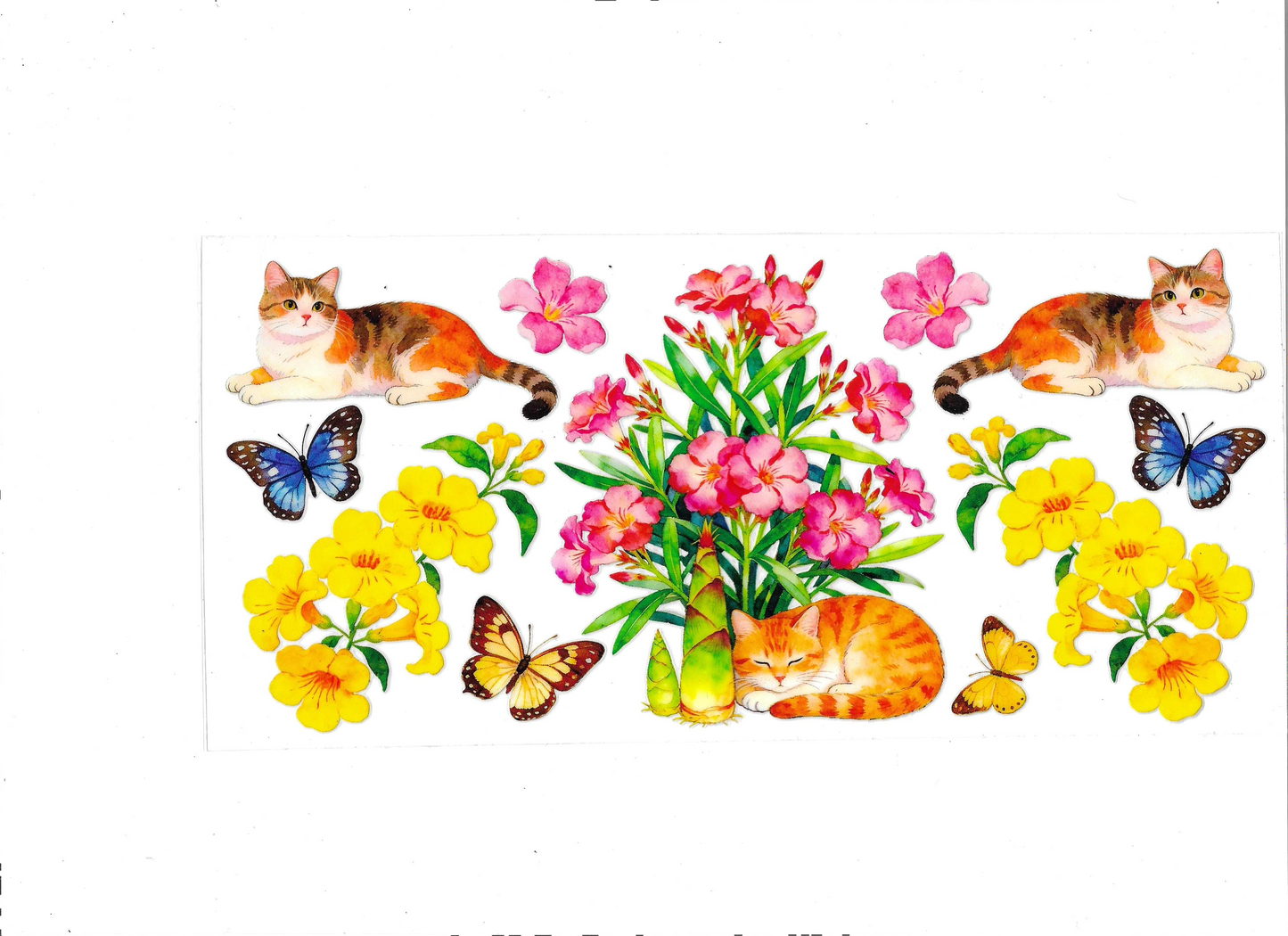 Animal 1