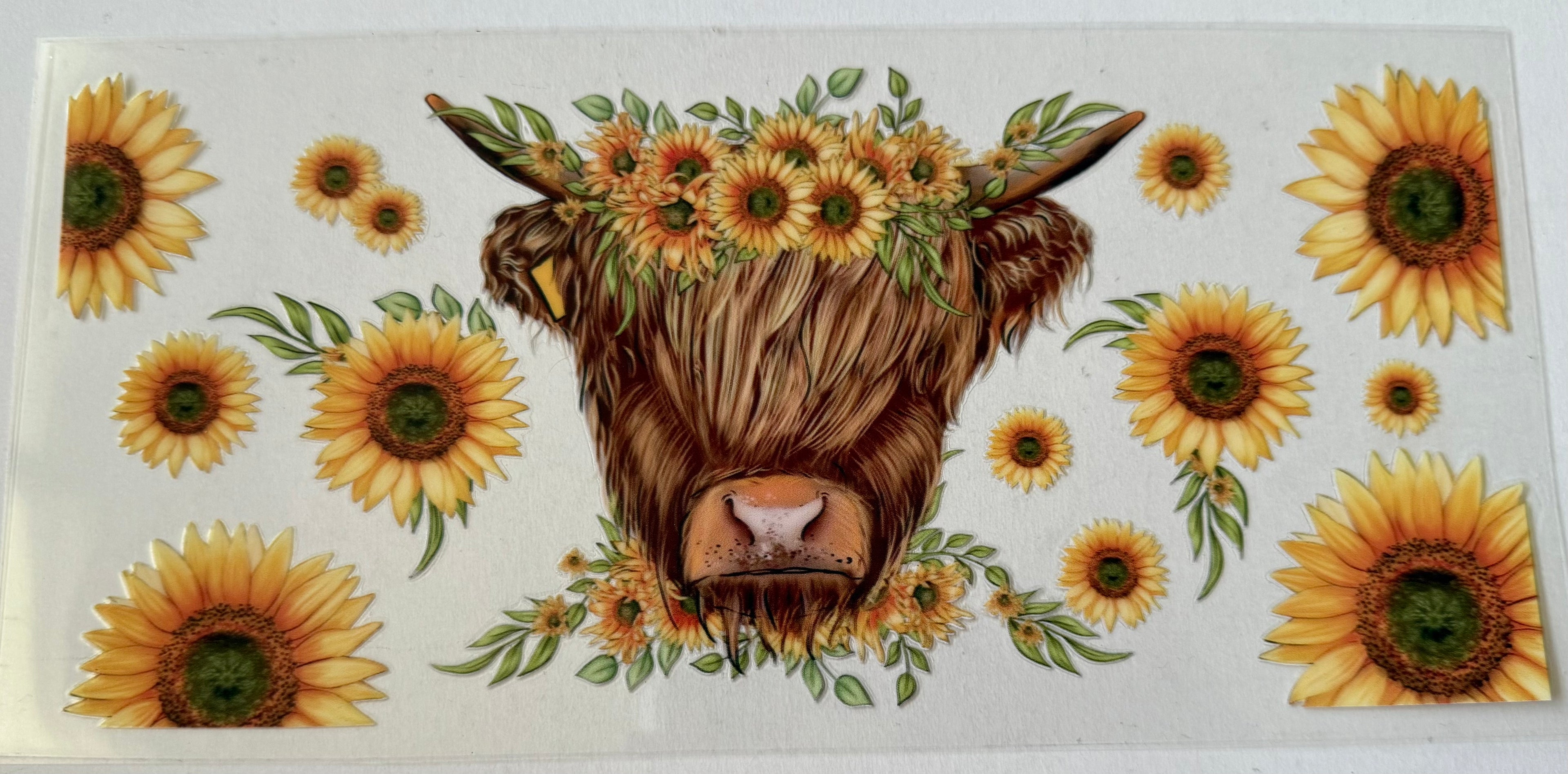 16 Oz Highland Cow Flower
