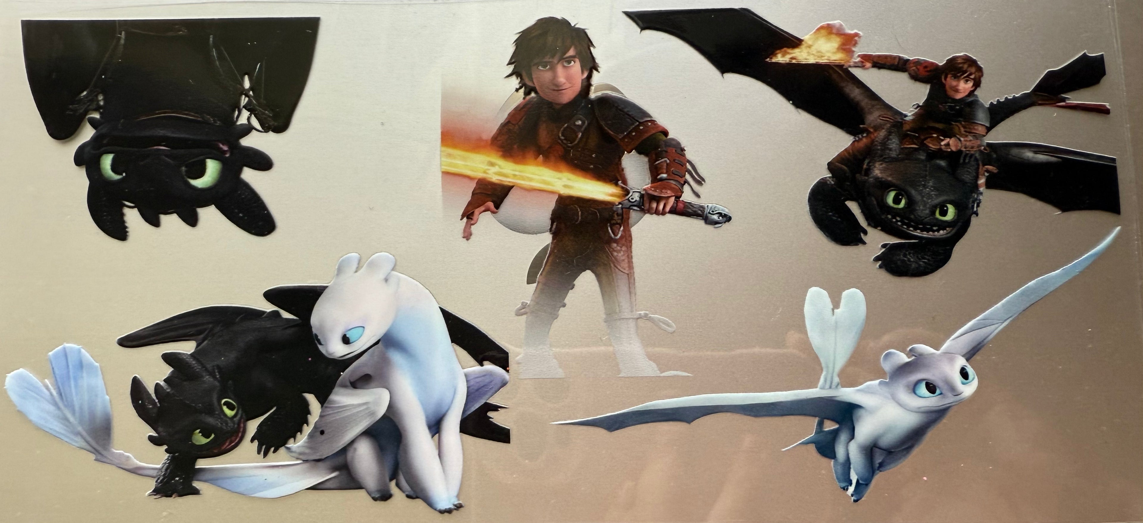 16 Oz How to Train Your Dragons