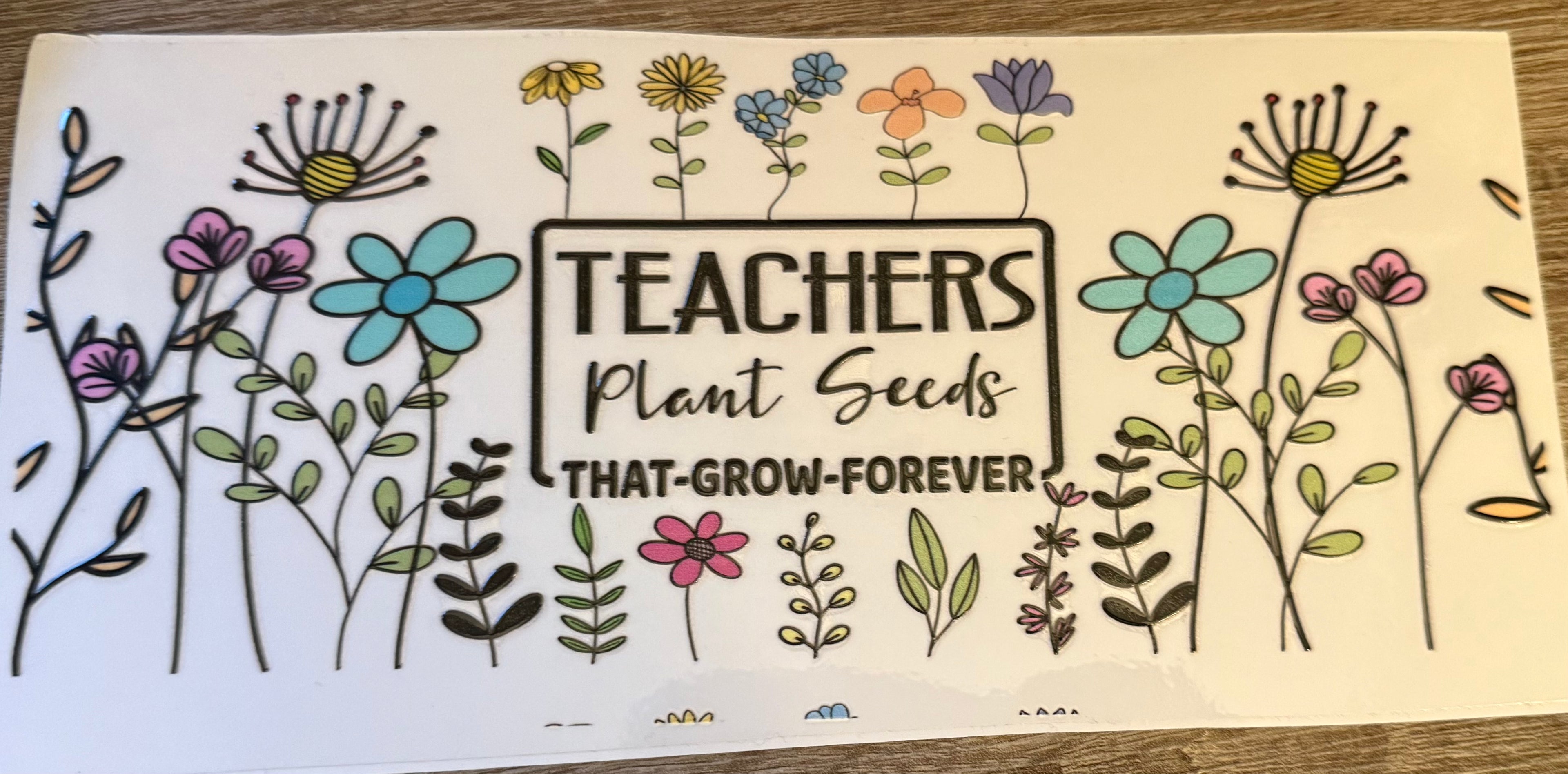 16 Oz Teacher Plant Seeds