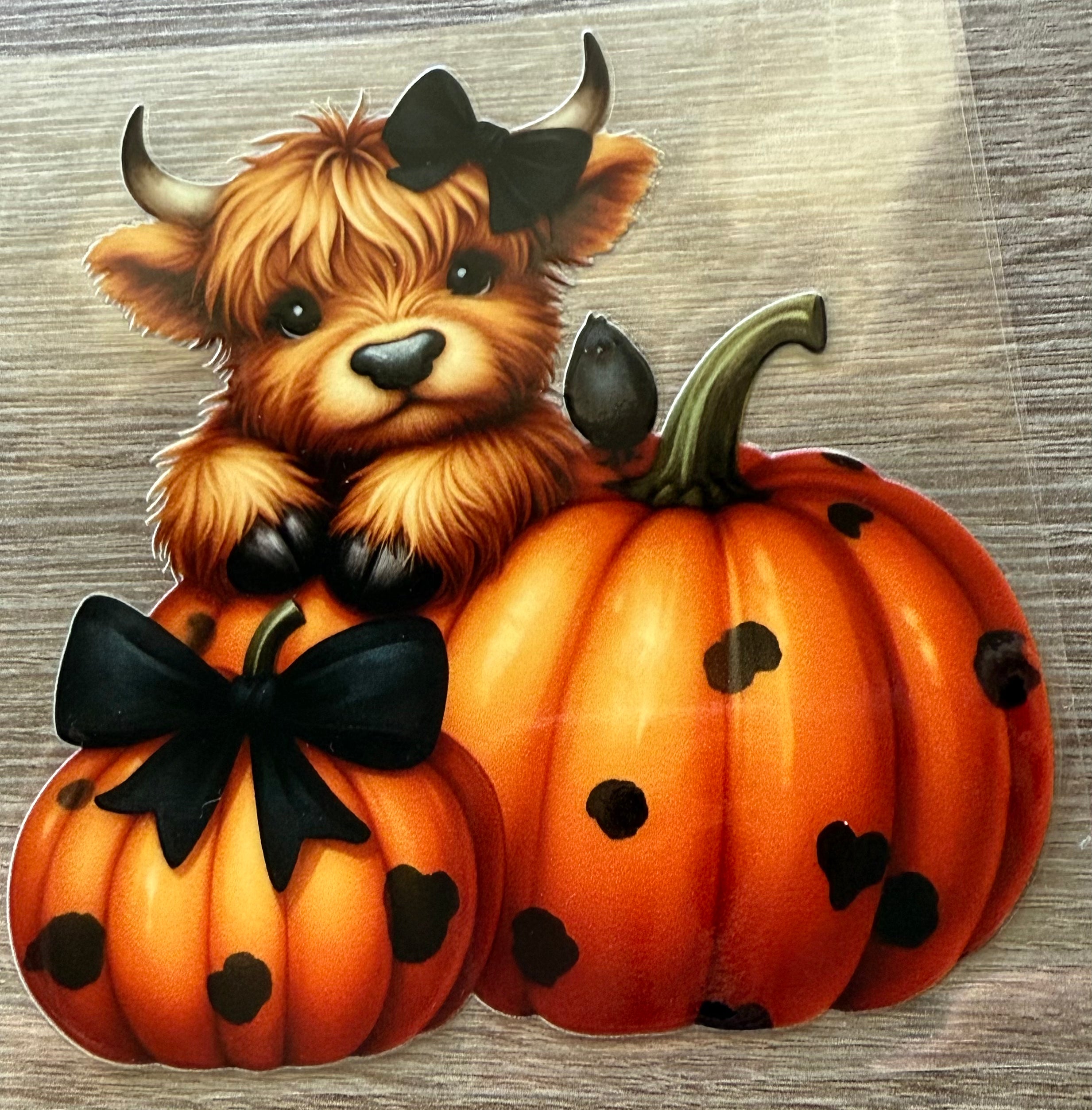 20 Oz Pumpkin Highland Cow