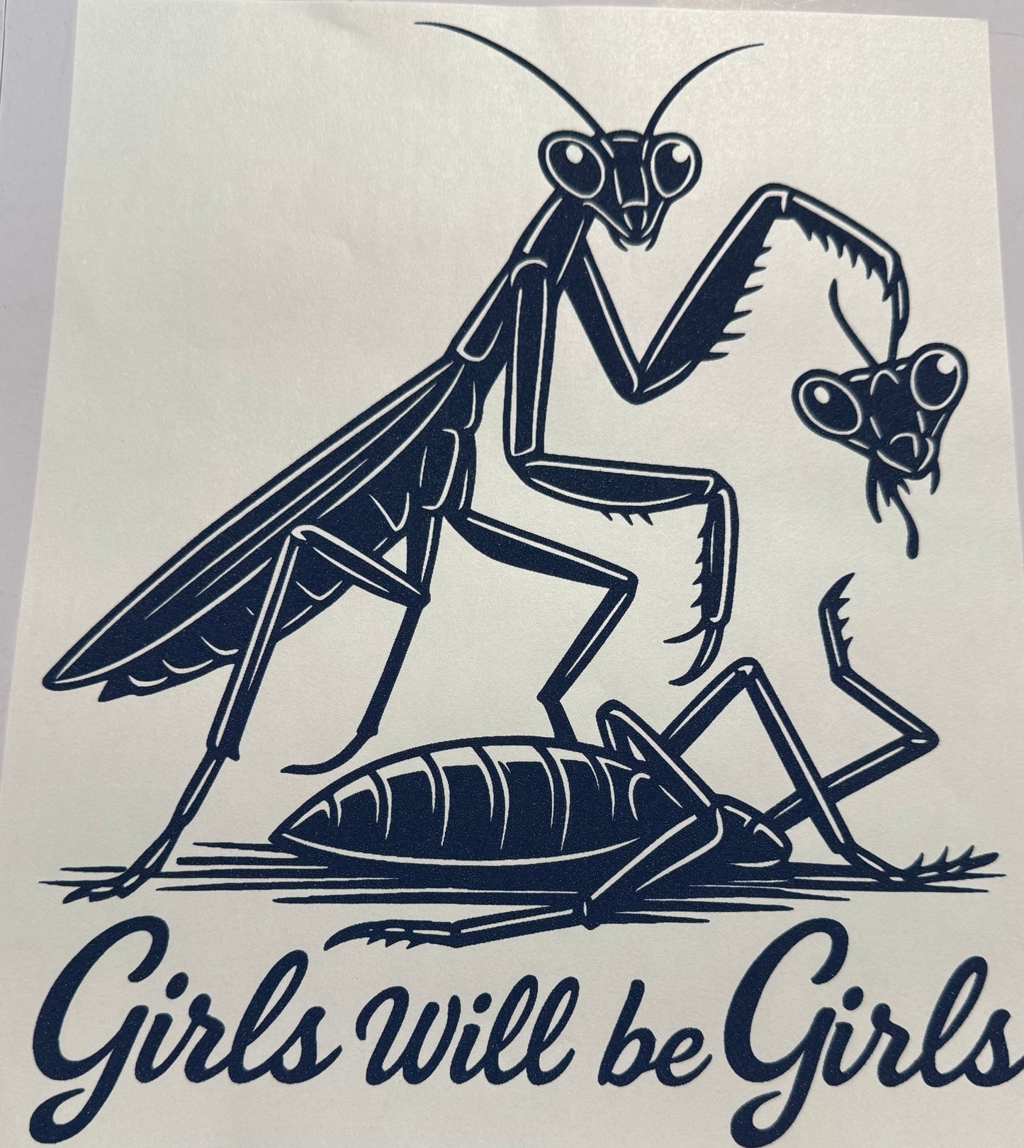 Girls Will Be Girls