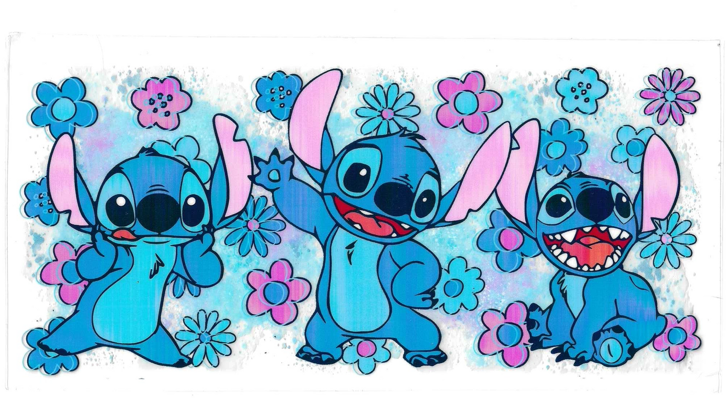#81