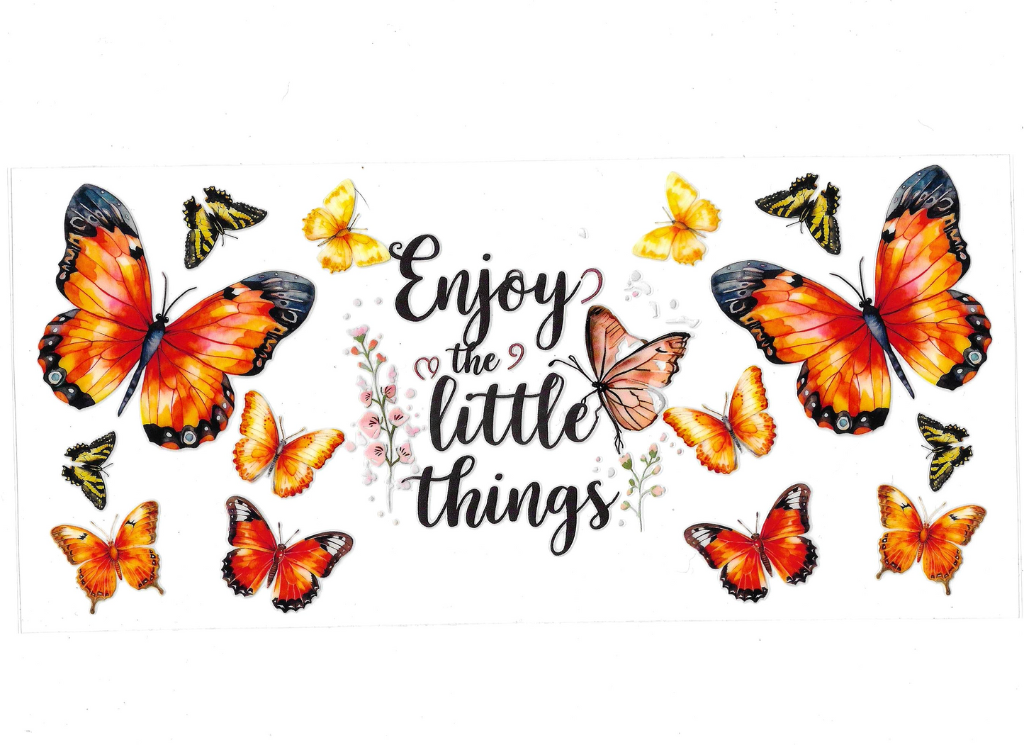 Butterflies 1